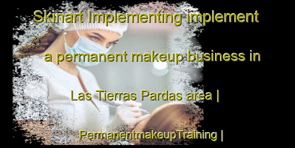 Skinart Implementing implement a permanent makeup business in Las Tierras Pardas area | PermanentmakeupTraining | PermanentmakeupClasses | SkinartTraining-Mexico